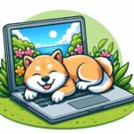 きんちゃん